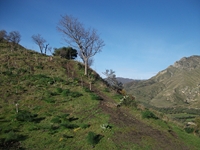 nte Mojo-30122011 021